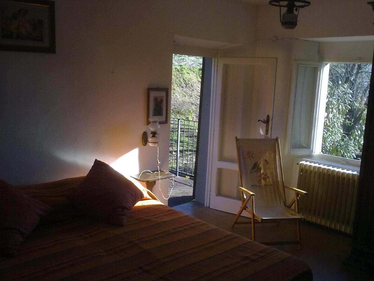 Casa Oliveto Villa Camaiore Eksteriør bilde