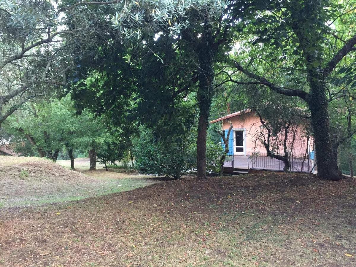Casa Oliveto Villa Camaiore Eksteriør bilde