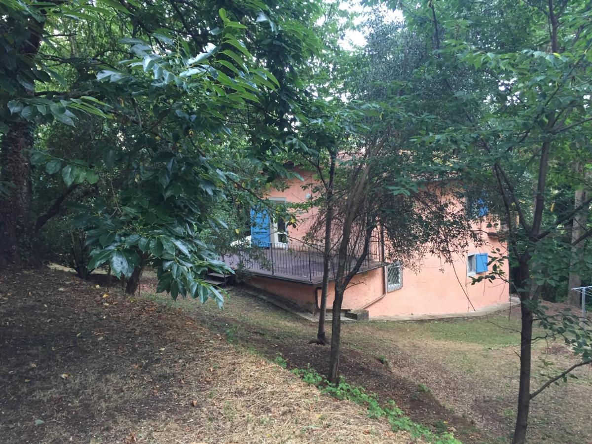 Casa Oliveto Villa Camaiore Eksteriør bilde